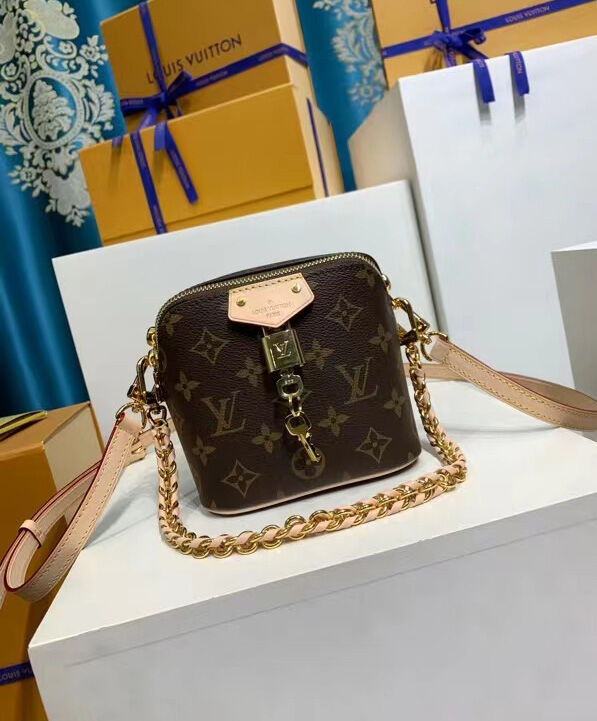 Louis Vuitton JUST IN CASE bag Brown